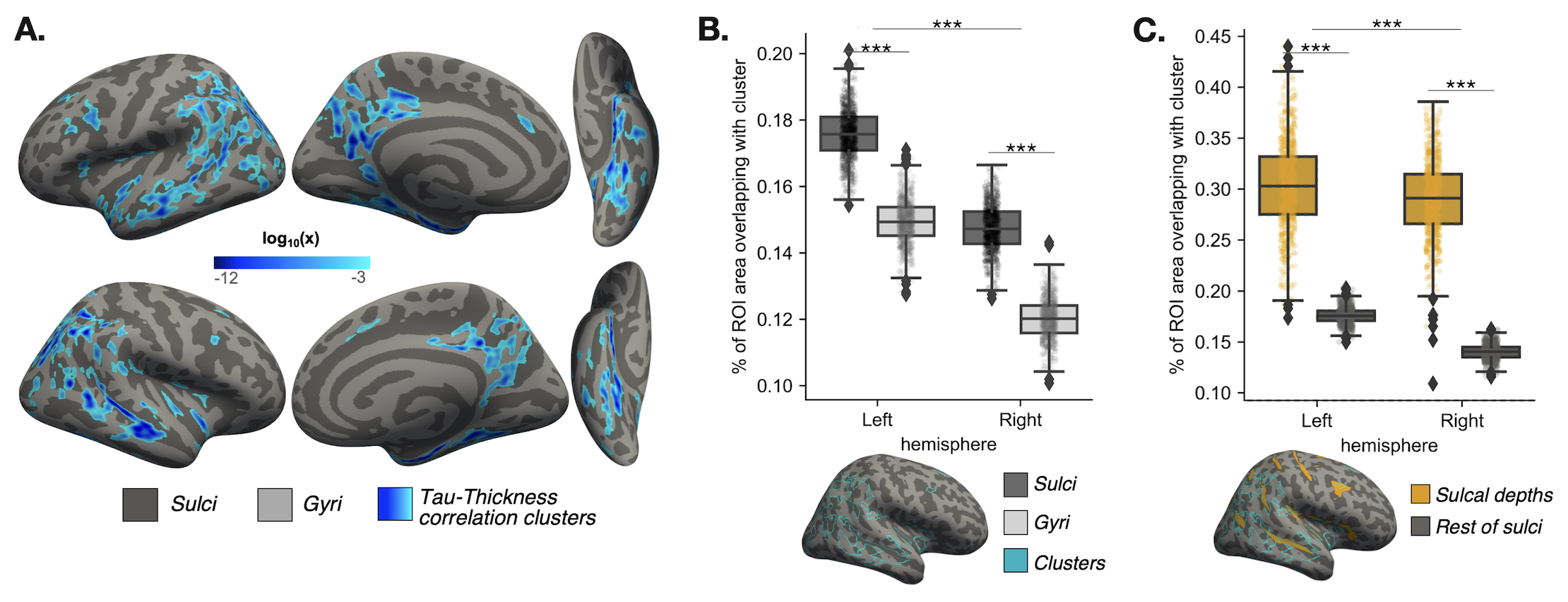 Maboudian et al., Annals Neurol 2026 Figure 1