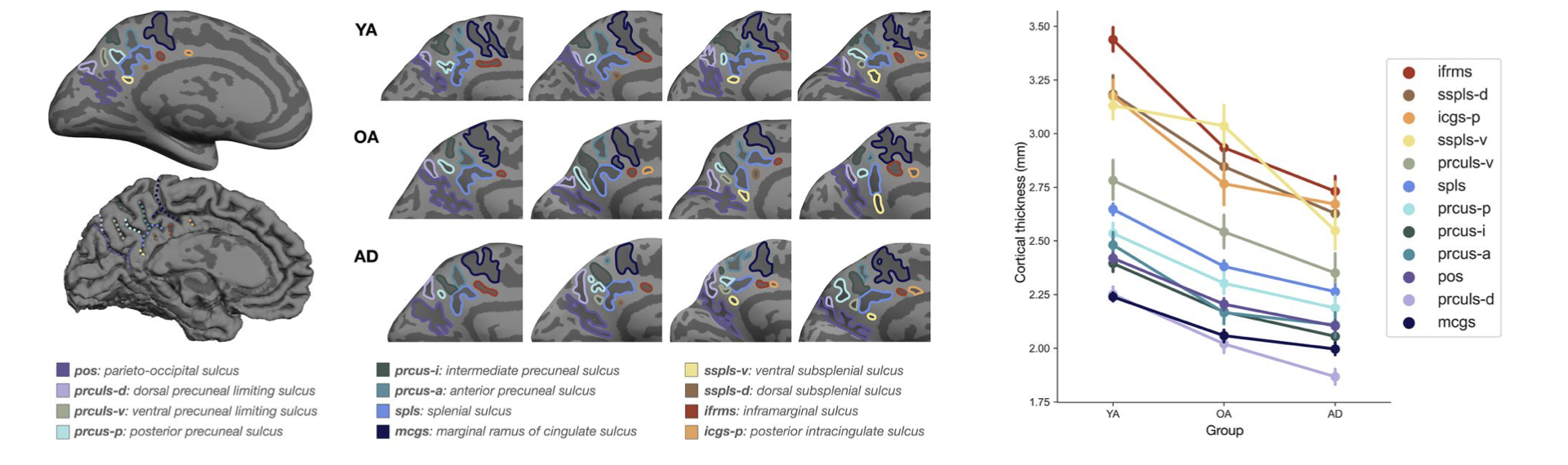 Maboudian et al., JNeurosci 2024 Figure 1 + 2